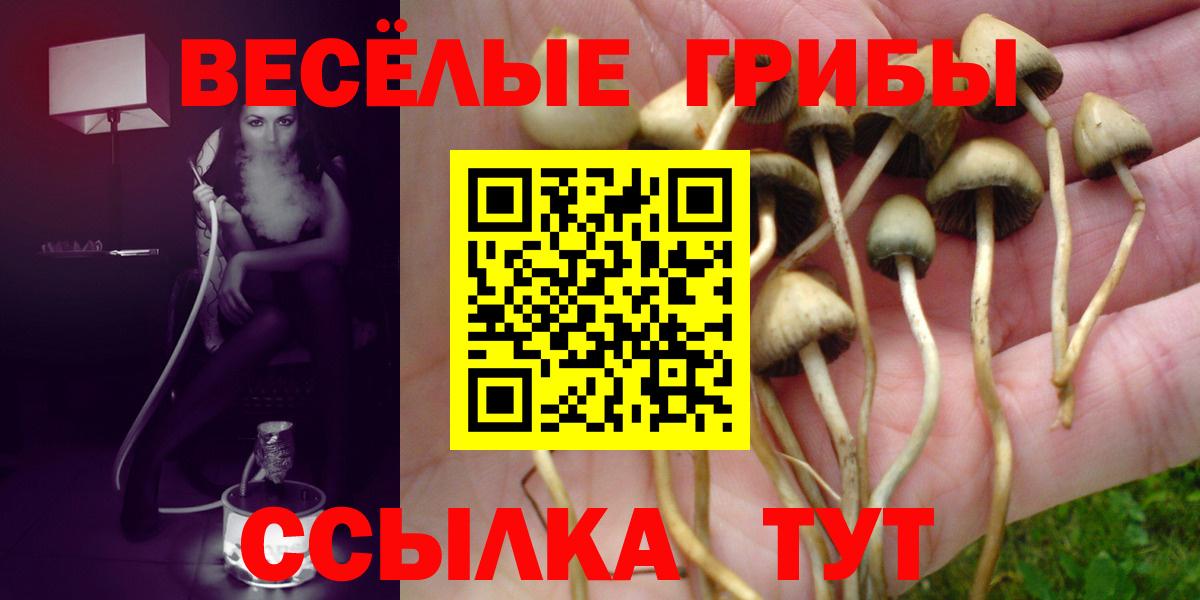 Сочи  Псилоцибиновые грибы мухоморы  Вход с VPN 