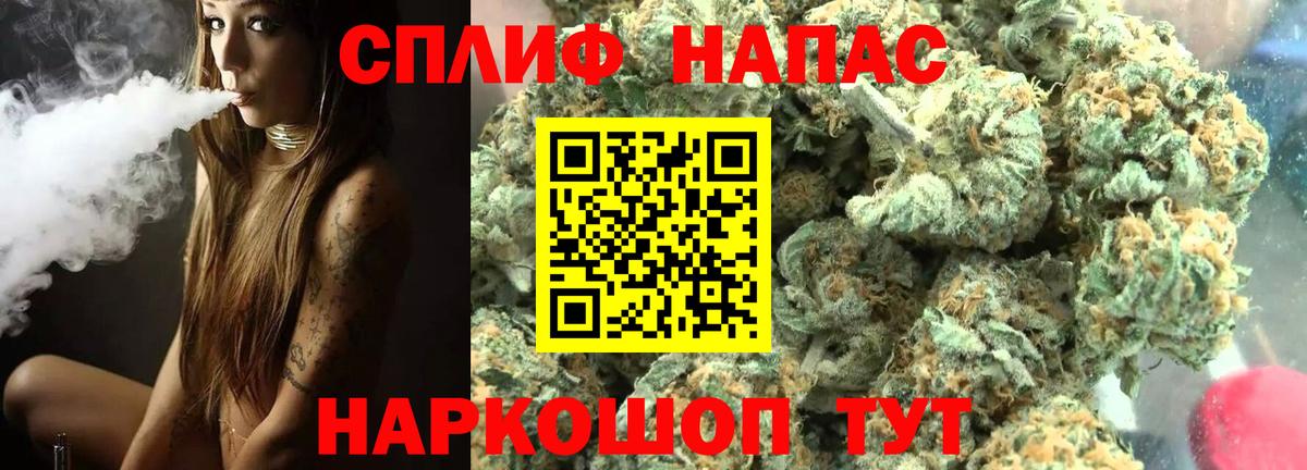 Конопля план Сочи